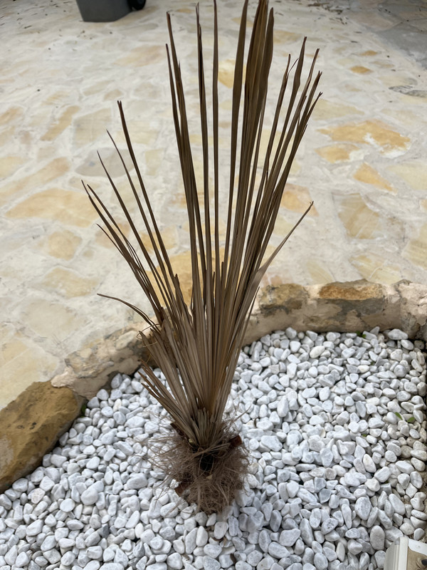 6844ABB1-2E45-46CD-A291-A8C98EFA87F8