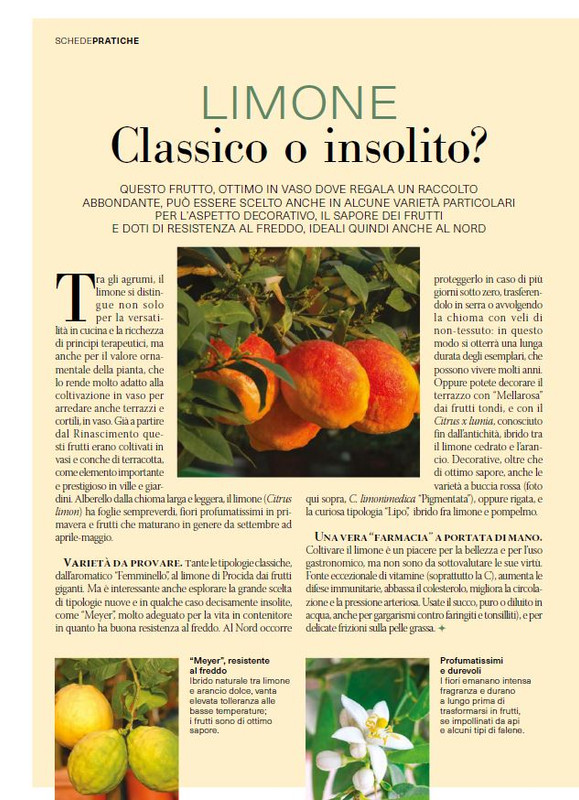 il mio Giar Feb-Mar 2025 (7)