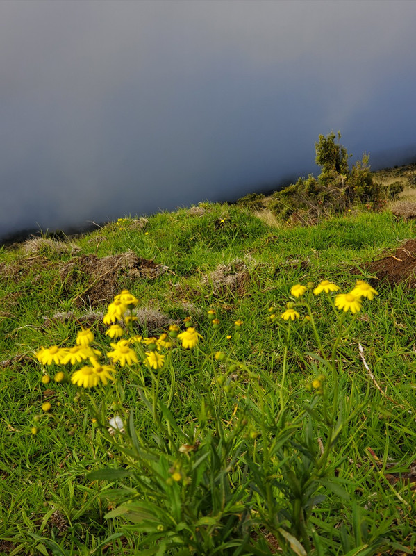 [Image: Hawaii20241120-Haleakala-Nat-Park.jpg]