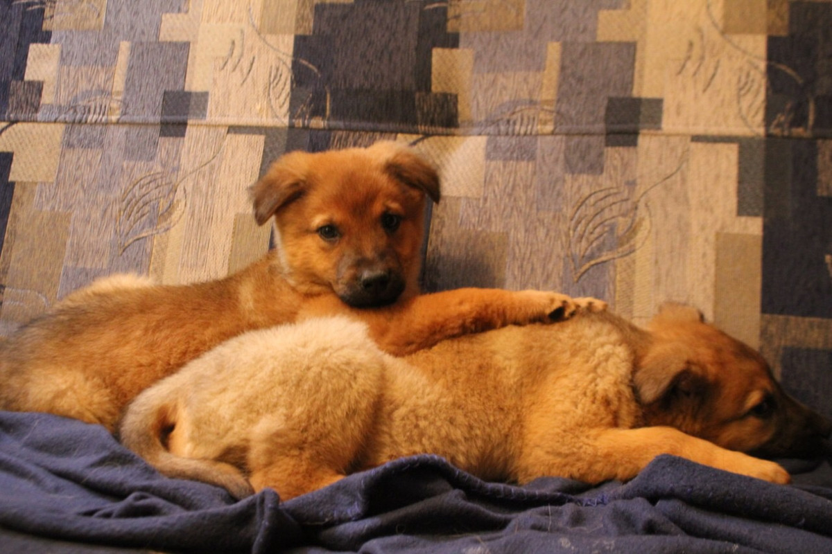 84EAF7FF-0F18-4F3C-BEEA-54644FEE1054