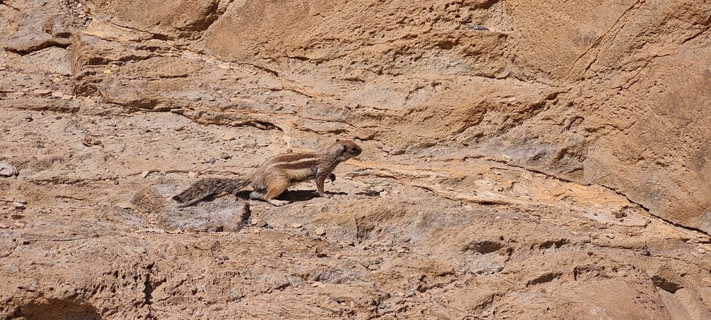 Fuerteventura, la isla de la calma - Blogs of Spain - CENTRO DE LA ISLA: CUEVAS Y PISCINAS NATURALES (17)