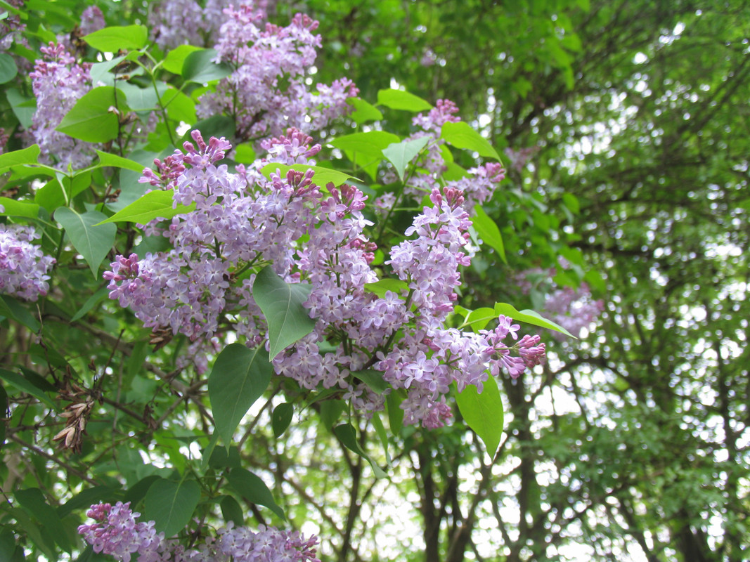 29 апреля 2024 118