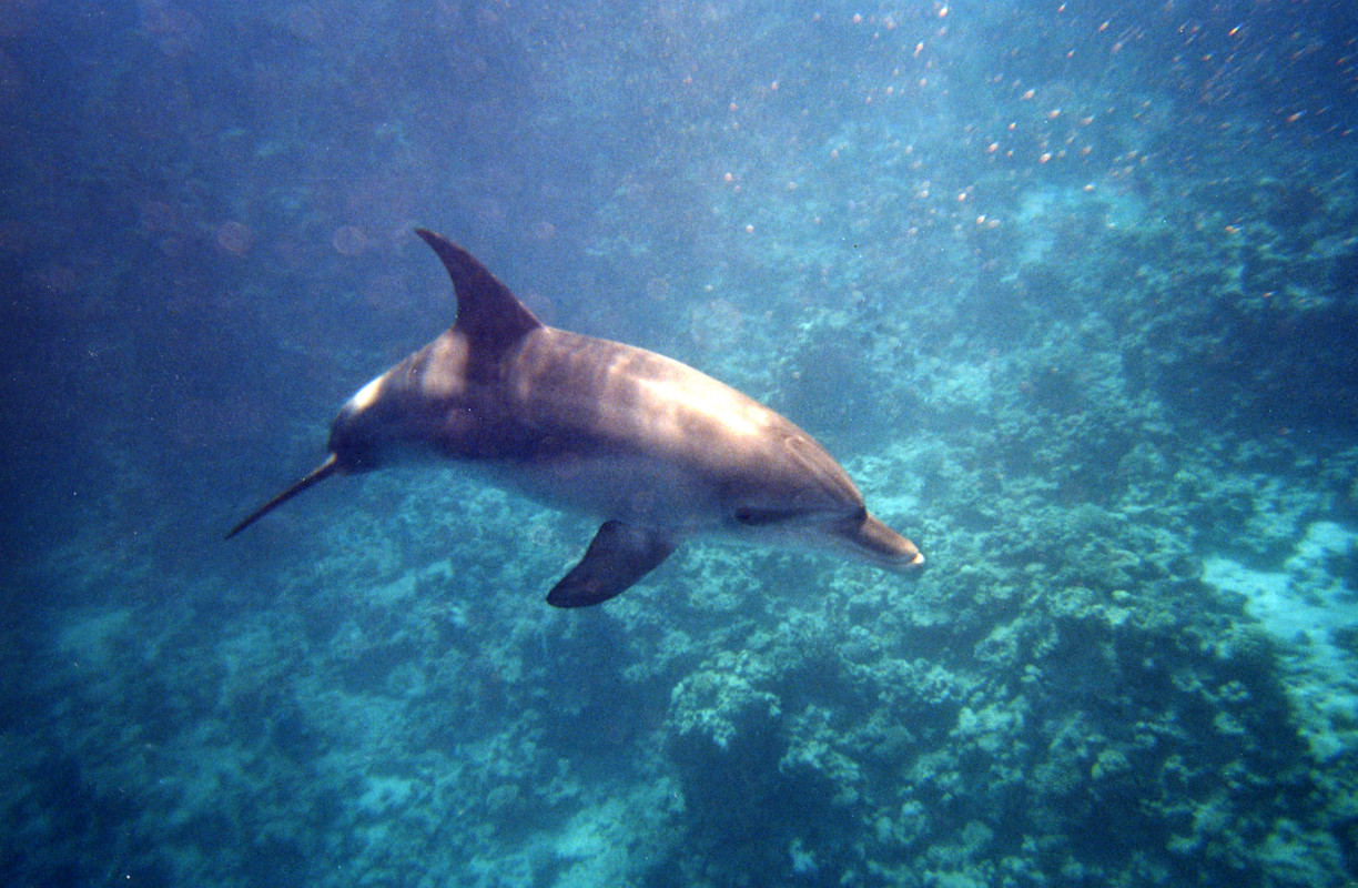 МАКСИМ ПЛАЗА ЦИФ?А (23)