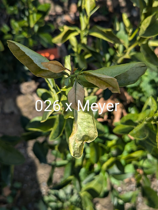 PXL_20241116_174913140~2