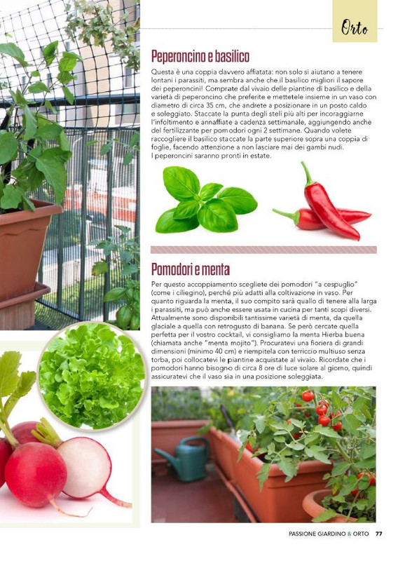 Pass Giar e Orto Apr-Mag 2025 (12)