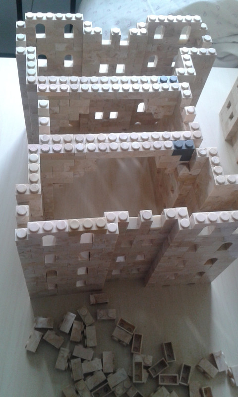 Construccion (5)