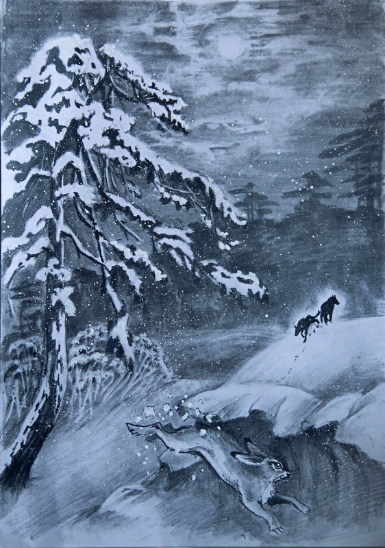 IMG_0431 - копия