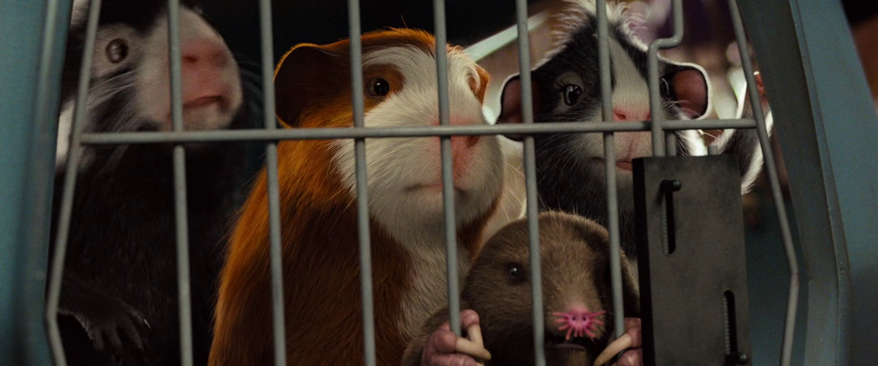 vlcsnap-2024-04-02-18h31m52s898