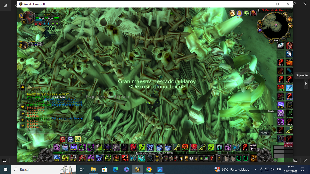 Captura de pantalla (522)