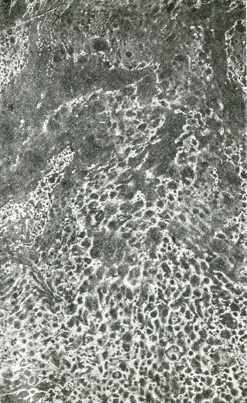 p0003