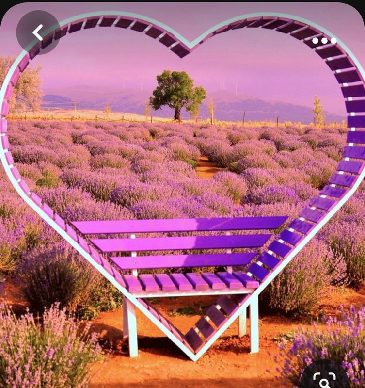 Screenshot_20231012_223340_Pinterest