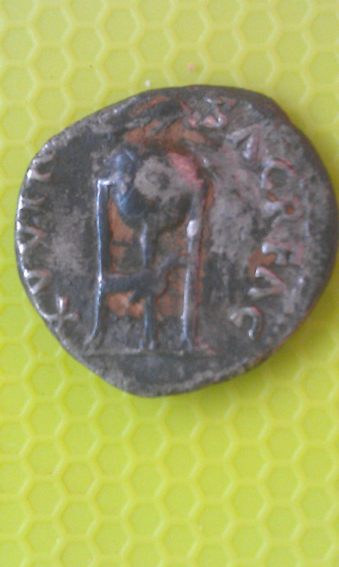 IMAG1450