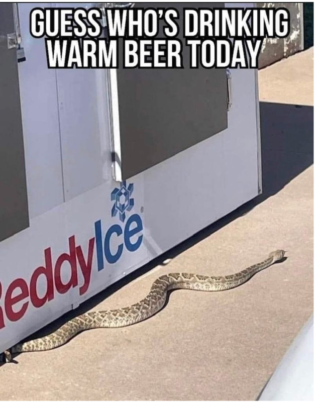 Screenshot 2026 05 17 at 08 37 33 Post a MEME Thread Page 5734 Yellow Bullet Forums