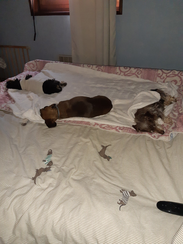 [Image: 20200621-210430.jpg]