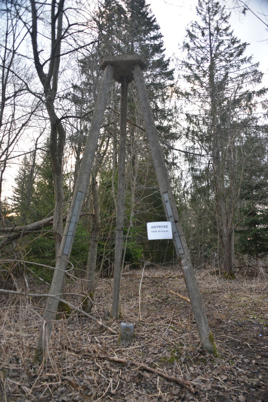 DSC-2176.jpg