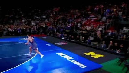 gable-handspring-backflip.gif