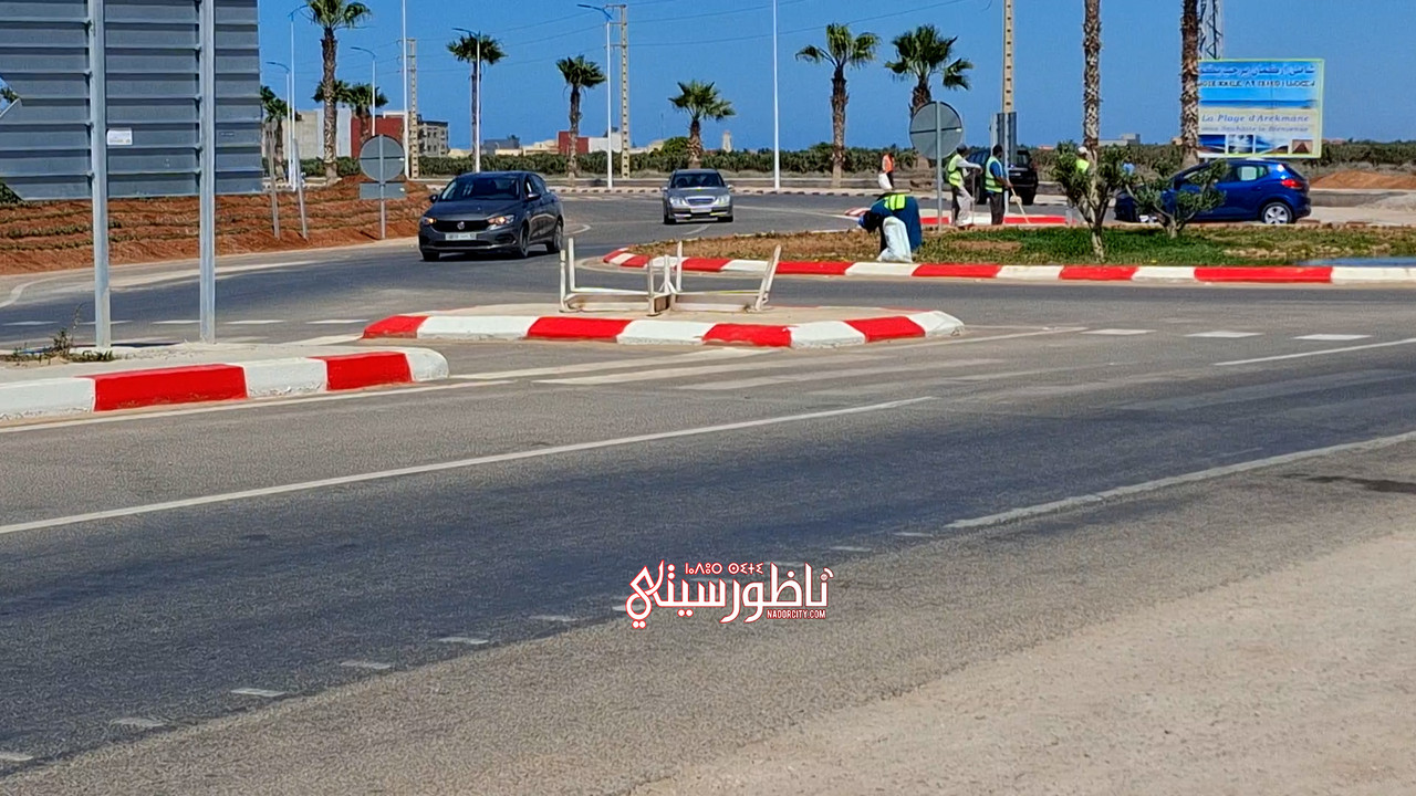 IMG-6572-00-11-02-10-Still006
