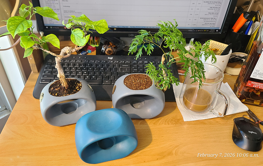 [Image: 20260207-100645.jpg]