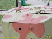 IMG-3638
