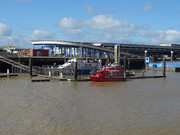 DSC00425.jpg