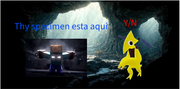 yn12