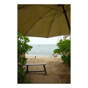 photo 2 2026 01 16 22 16 38