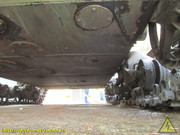 IMG-5268