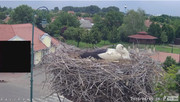 Kép