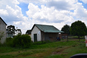 DSC-0351
