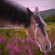 Untitled1124 20250704153255