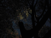 53.4.evening exploration IV