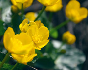 29,2 - De la couleur pour la bonne humeur
