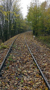 S9960041