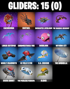 gliders-comp