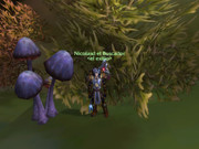 WoWScrnShot_122423_101037