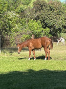 [Image: IMG-0304.jpg]