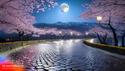 reflect-8