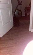 IMG-0395