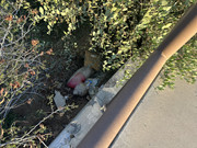 IMG-7546