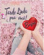 transferir-19