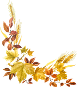 TADD_elements_Shimmer_Fall_52