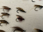 4875D491-621F-4958-950D-103A777B2AEC