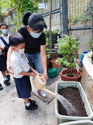 photo-littlefarmer2223-1A-015