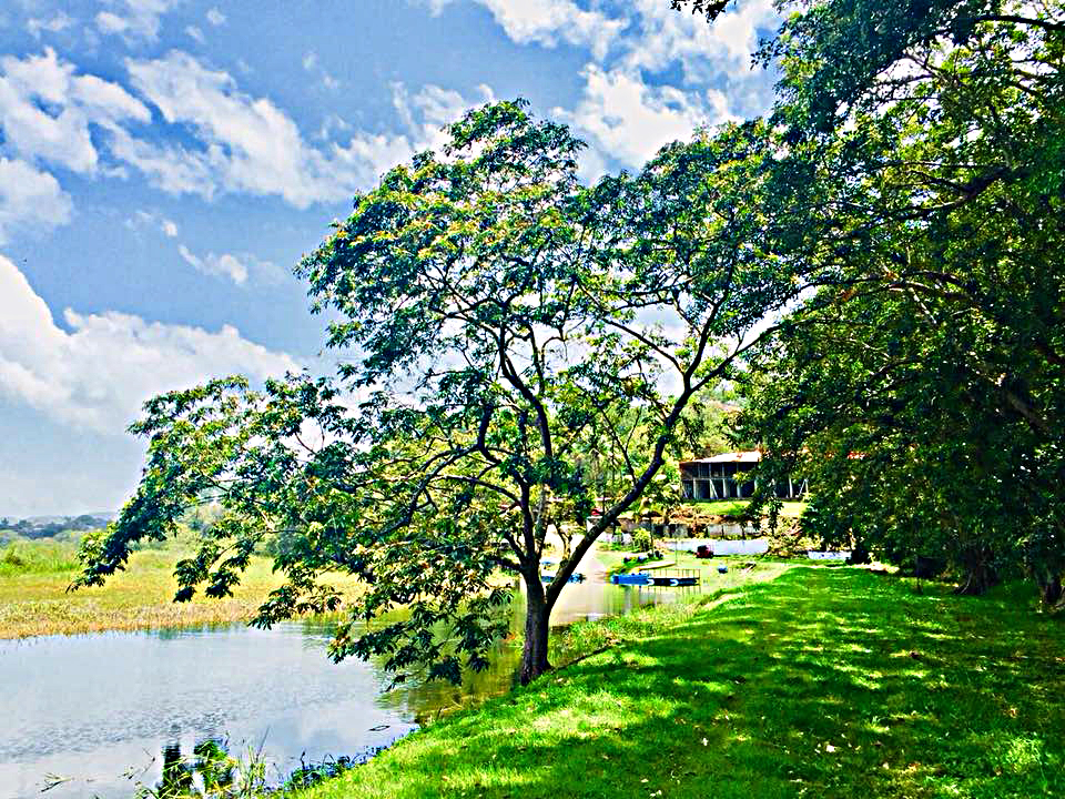 caba-a-del-lago-2.jpg