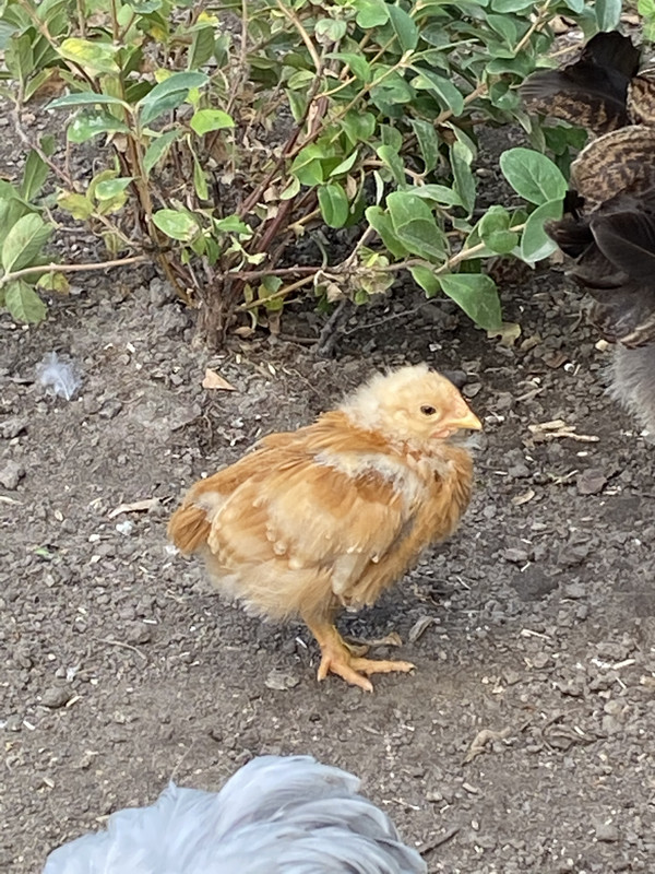 3D1DC47E-9449-466A-9EBD-02C6B89DDA45