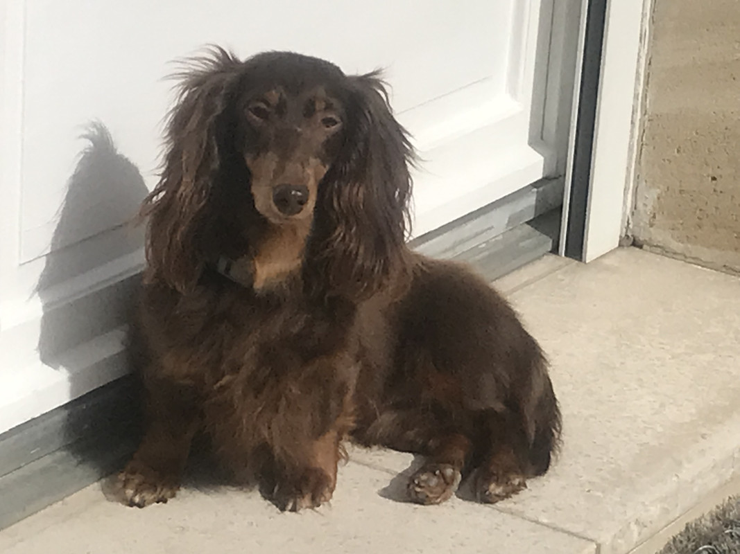 [Image: EC4-F24-CA-9-F37-4182-A570-A346-AEE54385.jpg]