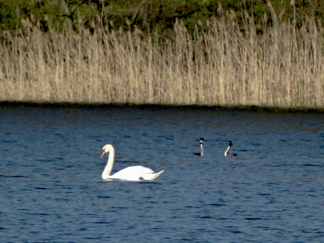 01.18 - DSC06743 (Czesio1)