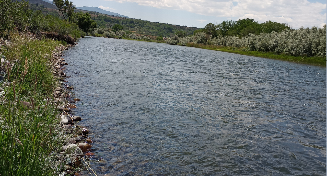 [Image: Colorado-River-In-Rifle-Colo.png]