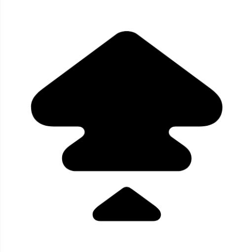 icon Z