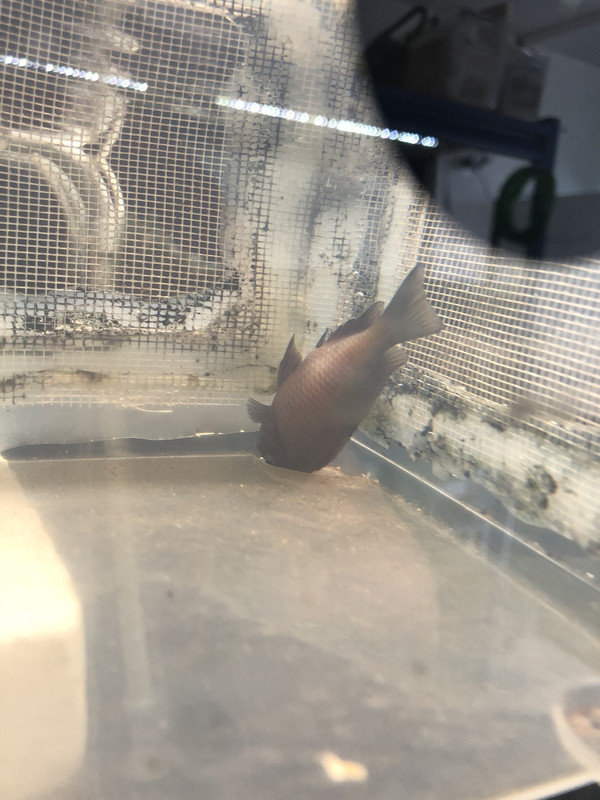 g1Kr2qPfT Cpnajjc6YGow